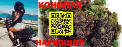 PSILOCYBIN Пенза